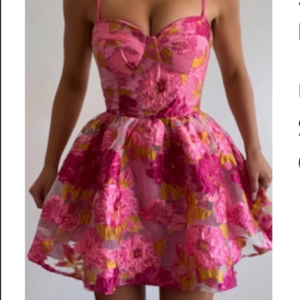 Showpo Bradley mini dress